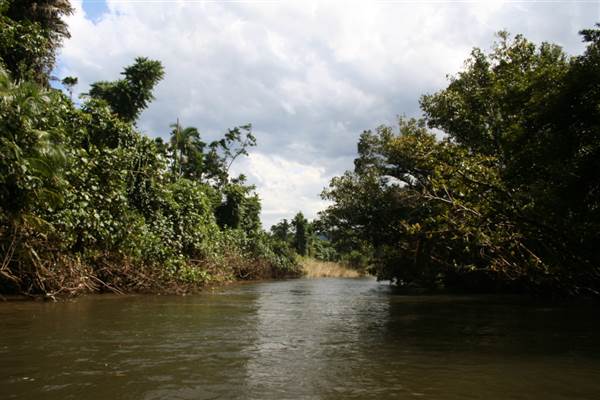 Mulgrave River (Cairns Region) (25/09/2007)