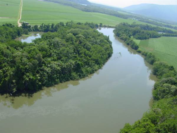 Mulgrave River (Cairns Region) (25/09/2007)