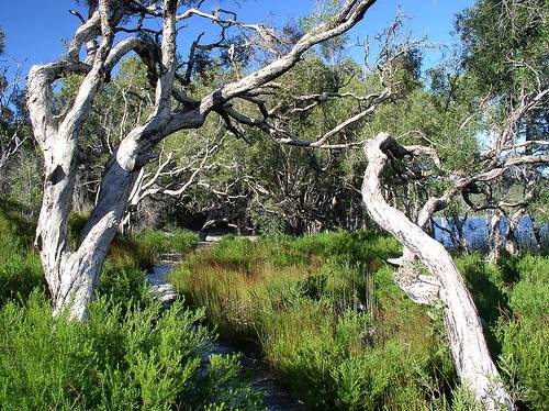 Minjeeribah (North Stradbroke Island) - Overview (29/01/2009)