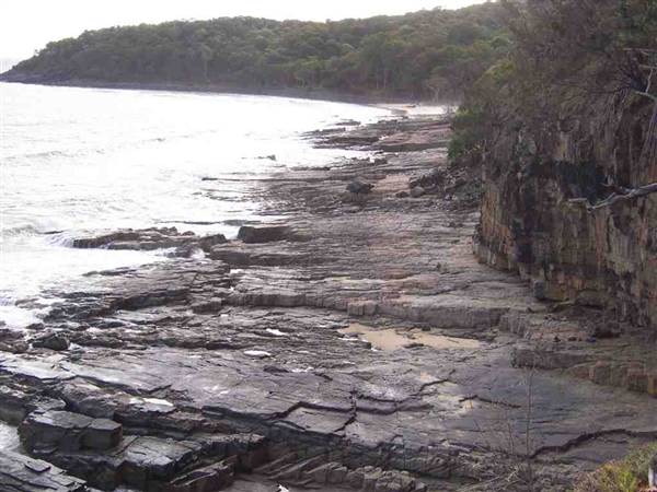 Sunshine Coast Region - Noosa National Park (12/10/2007)