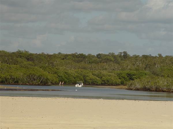 Noosa North Shore (17/01/2008)