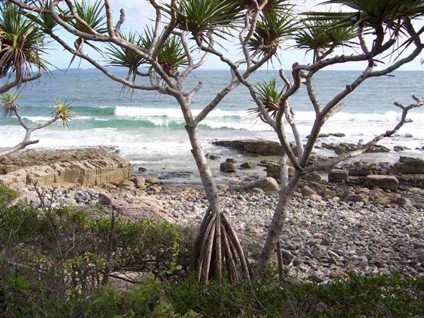 Sunshine Coast Region - Noosa National Park (12/10/2007)