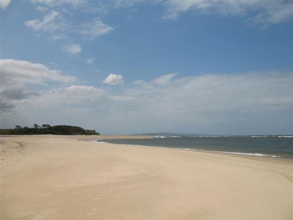 Noosa North Shore (17/01/2008)