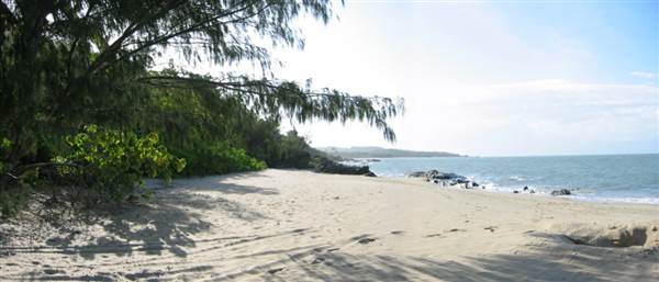 North Palm Cove to Ellis Beach (1/10/2007)