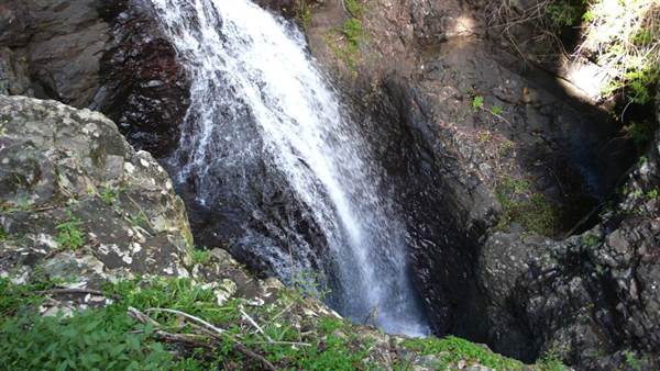 Purling Brook Falls - Springbrook National Park (27/07/2009)