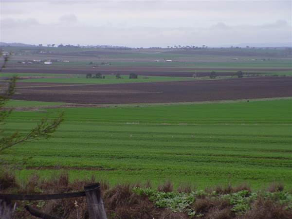 Wheat Fields (8/01/2008)