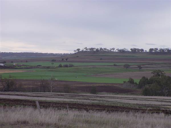 Wheat Fields (8/01/2008)