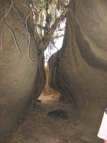 Rangelands Station (14/10/2005)