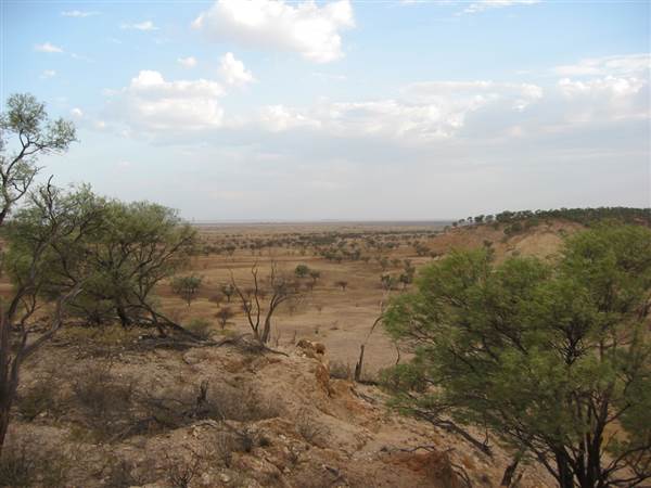 Rangelands Station (14/10/2005)