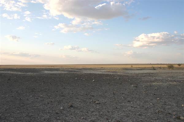 Rangelands Station (14/10/2005)