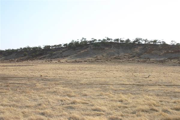 Rangelands Station (14/10/2005)