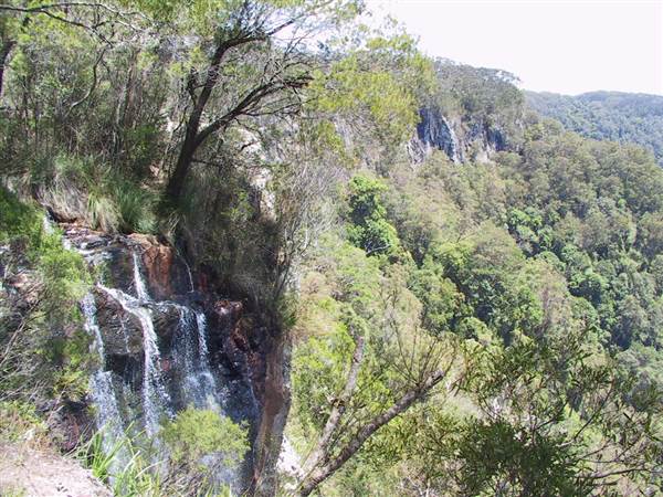 Springbrook National Park (26/09/2007)