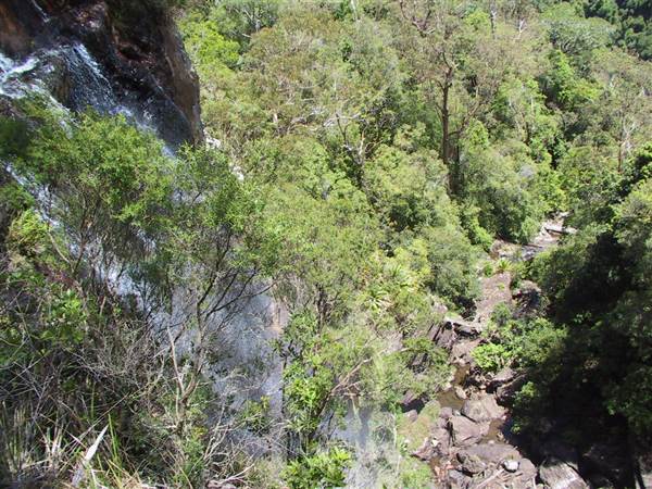 Springbrook National Park (26/09/2007)