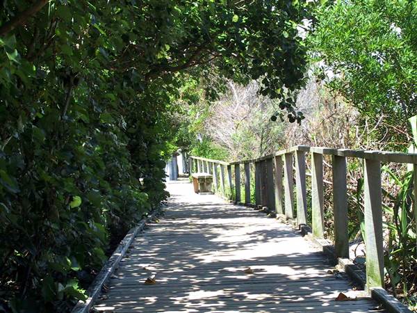 Tallebudgera Creek (26/09/2007)