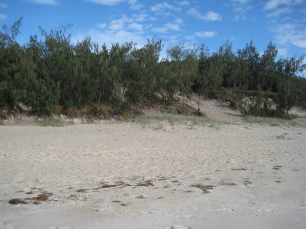 Woorim Beach - Bribie Island (18/02/2010)