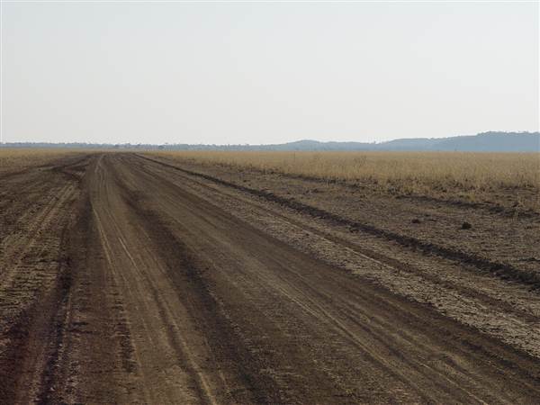 Muttaburra - Aramac Rd (18/11/2013 - Credits: Chris Strewe)