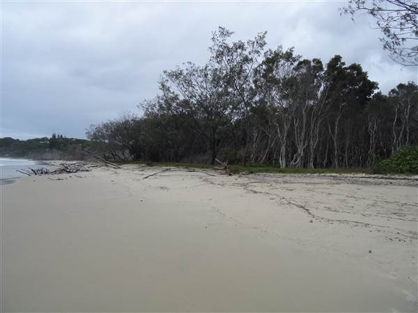 Minjeeribah (North Stradbroke Island) - Home Beach (1/02/2014 - Credits: Angus Ledgerwood)