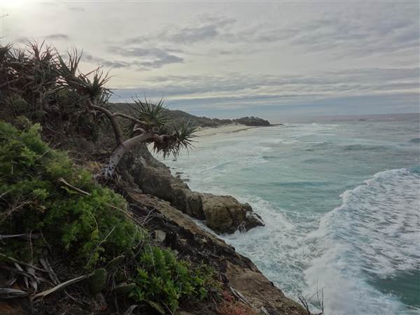 Gorge Walk, Point Lookout (3/02/2014 - Credits: Angus ledgerwood)