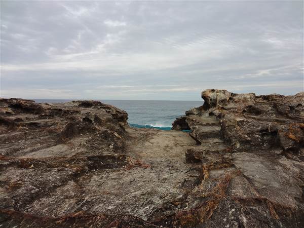 Gorge Walk, Point Lookout (3/02/2014)