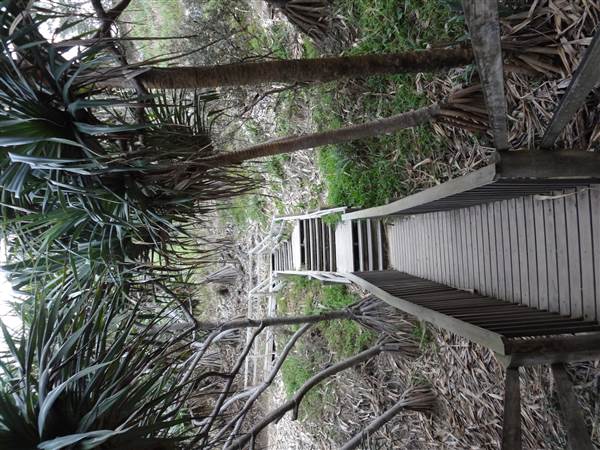 Gorge Walk, Point Lookout (3/02/2014)