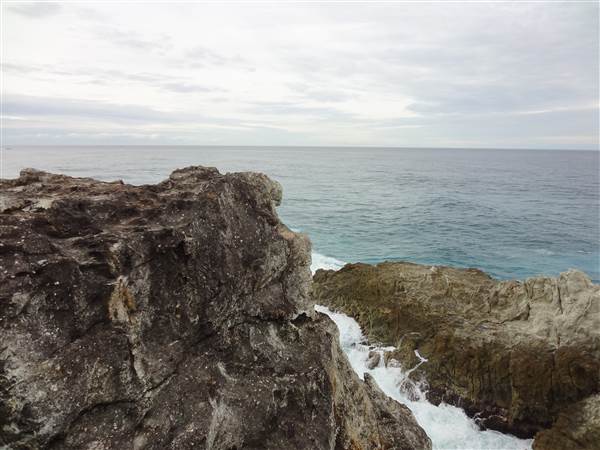 Gorge Walk, Point Lookout (3/02/2014)