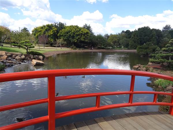 Japanese Garden - University of Southern Queensland (7/05/2014)