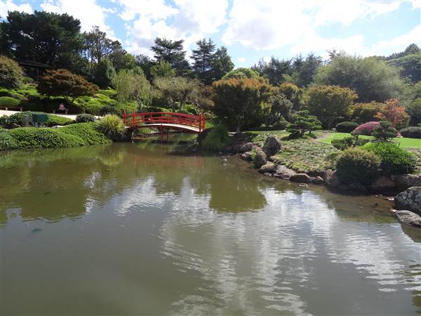 Japanese Garden - University of Southern Queensland (7/05/2014)