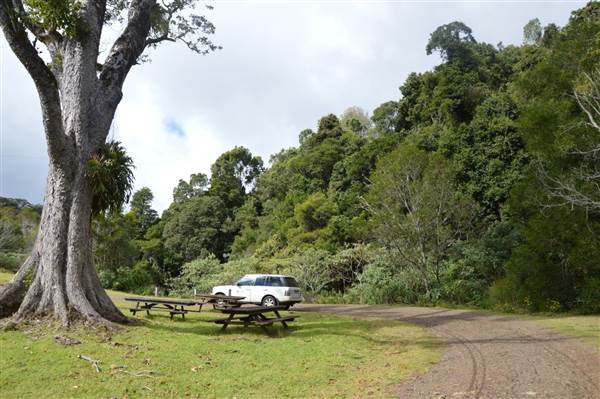 O'Reillys Rainforest Retreat (19/05/2014 - Credits: Duncan Jones)