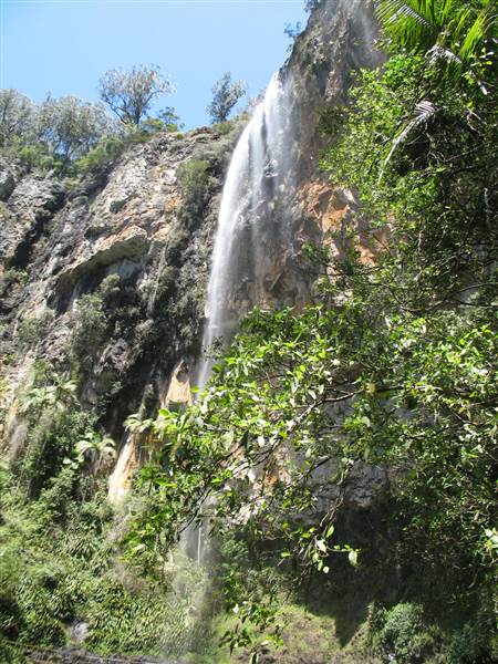 Purling Brook Falls - Springbrook National Park (21/05/2014 - Credits: Duncan Jones)