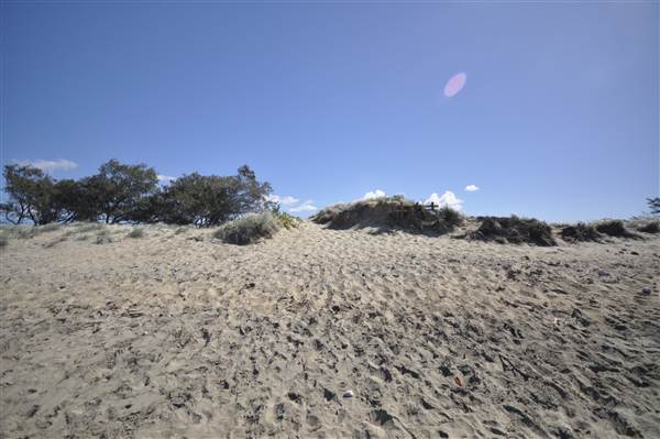 Kings Beach (Bowen) (23/07/2014 - Credits: Angus Ledgerwood)