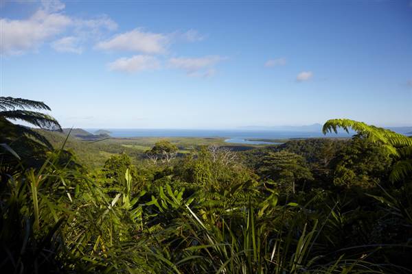 Daintree River (25/08/2014)