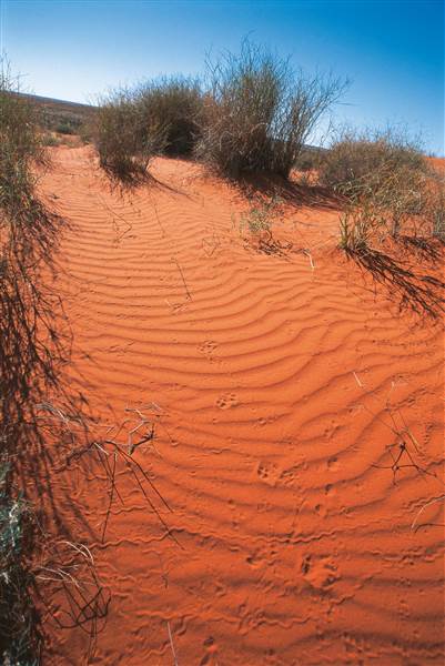 Windorah (27/11/2014 - Credits: Tourism Events Queensland)