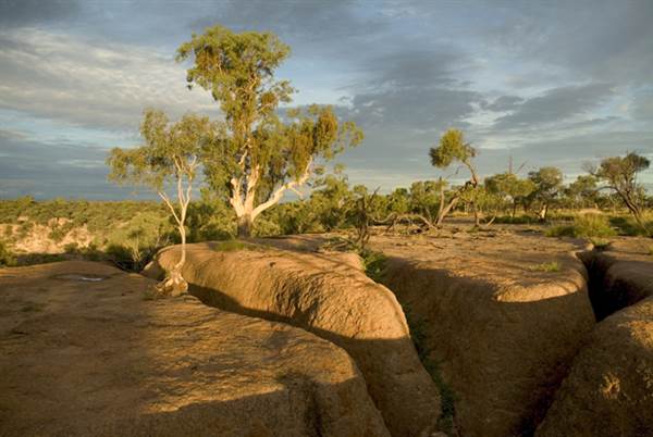 Winton Desert - General (18/11/2013)