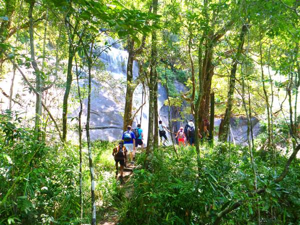 Tully Gorge National Park (18/08/2014)