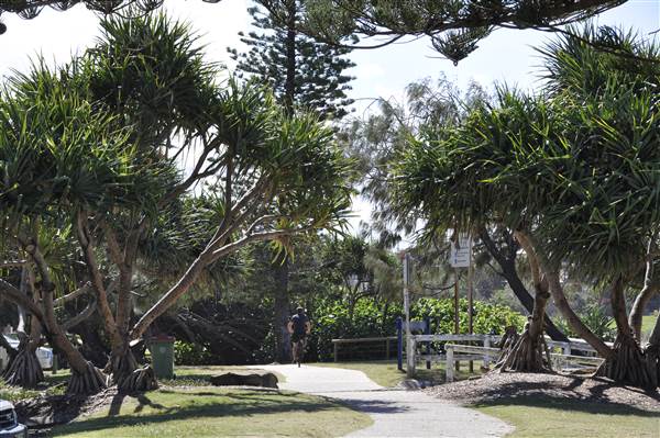 Moffat Beach (12/03/2015 - Credits: Angus Ledgerwood)