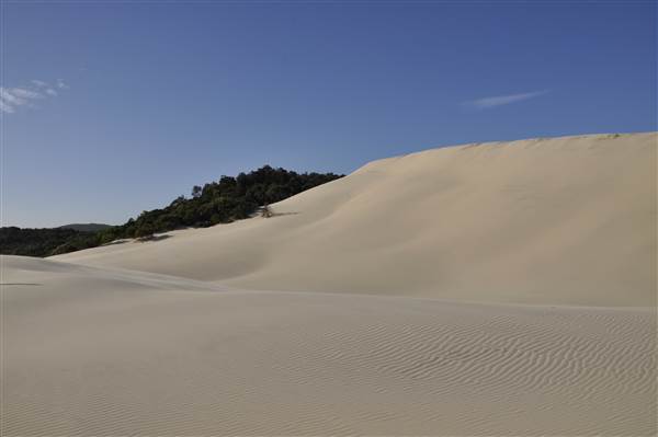 Mulgumpin (Moreton Island) - Big Sand Hills (11/04/2015 - Credits: Angus Ledgerwood)