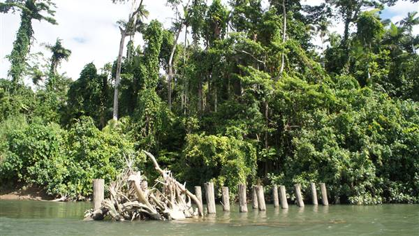 Mulgrave River (Cairns Region) (25/06/2015)