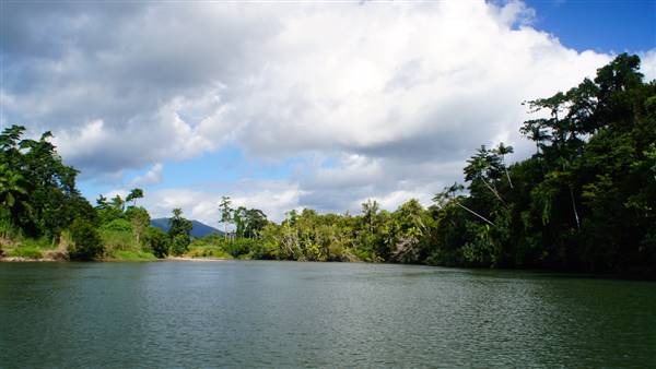 Mulgrave River (Cairns Region) (25/06/2015)