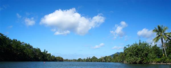 Mulgrave River (Cairns Region) (25/06/2015)