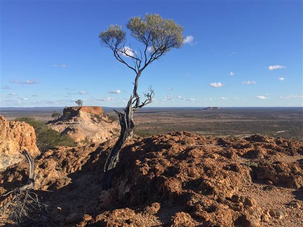 Longreach - Mount Slowcombe (22/07/2015 - Credits: Neil McGregor)