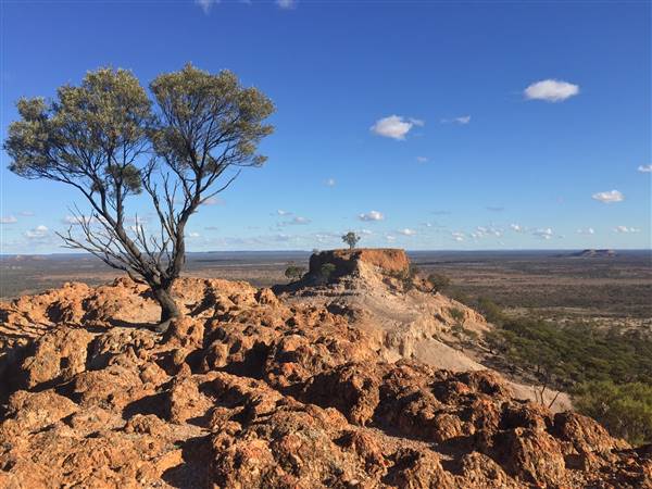 Longreach - Mount Slowcombe (22/07/2015 - Credits: Neil McGregor)