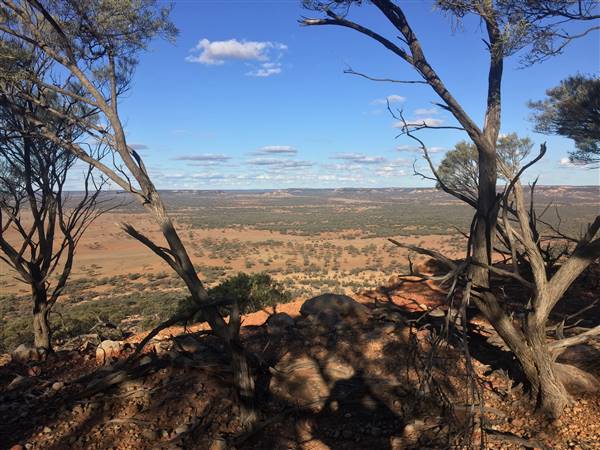 Longreach - Mount Slowcombe (22/07/2015 - Credits: Neil McGregor)