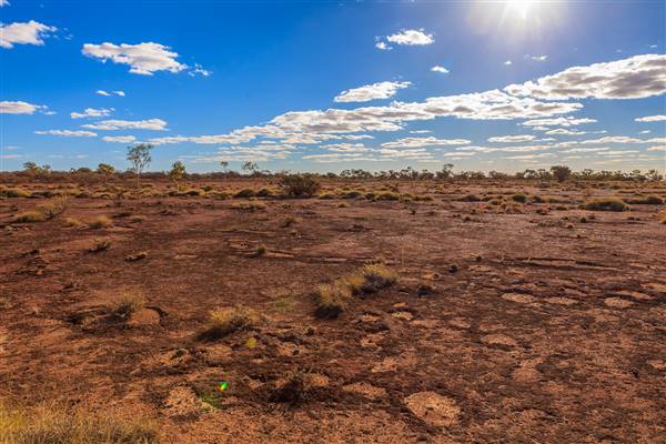 Age Of Dinosaurs (Rangelands) (22/07/2015)