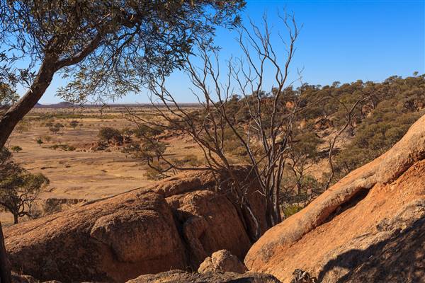 Rangelands Station (23/07/2015 - Credits: Neil McGregor)