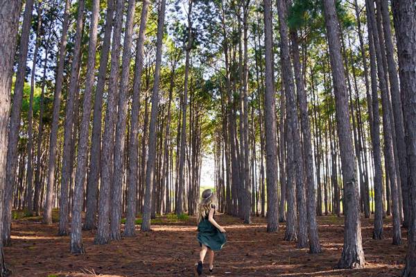 Pine Forest, Riverside Skate Park & Open Sports Fields - Pizzey Park