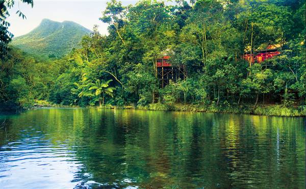 Daintree River (16/11/2015)