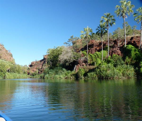 Lawn Hill Gorge (Camooweal Region) (17/11/2015)