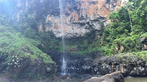 Purling Brook Falls - Springbrook National Park (10/12/2015 - Credits: Neil McGregor)
