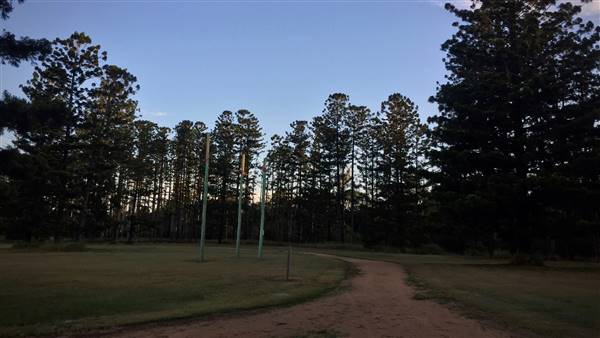 The Secret Forest - Oxley Creek Common