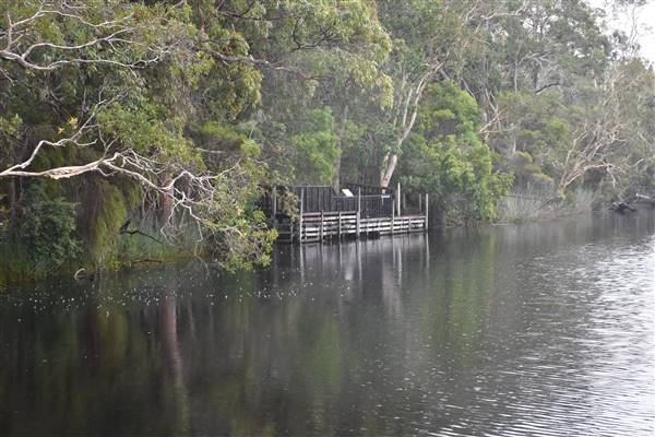 Harrys Hut Area (Noosa Everglades) (7/07/2017 - Credits: Kathryn Metcalfe)